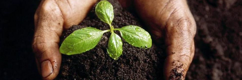 dolomiti ambiente belluno