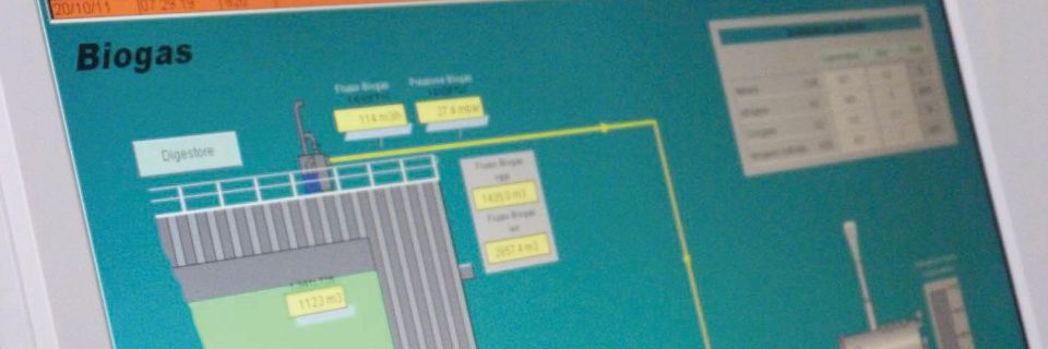 dolomiti ambiente belluno